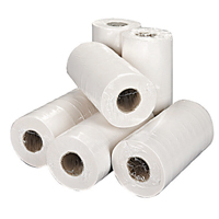 2Work Hygiene Roll 250mmx40m Wht P18