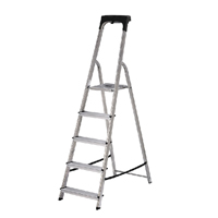 Werner Promaster Stepladder 5 Tread