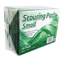 Green Economy Scourer 90X60Mm Pk10