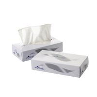 2Work Facial Tissues Box 100 Sh Pk36