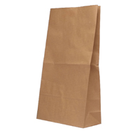 Paper Bag 260x520x100mm Brown Pk125