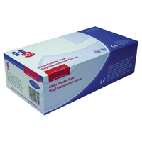 Handsafe PF Vinyl Gloves L Clr Pk100