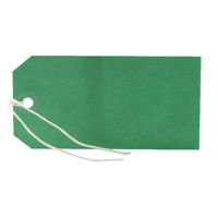 Strung Tag 120X60 Green Pk1000