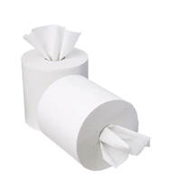 2Work Centrefeed Roll 1 Ply Pk12