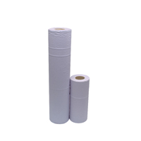 2Work Hyg Roll 2-Ply 10in Blue Pk24