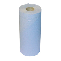 2Work Hyg Roll 2-Ply 20in Blue Pk12
