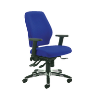 Cappela Agility Hbk Pst Chair Blue