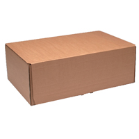 Mail Box Large 395X255X140Mm Pk20 Br