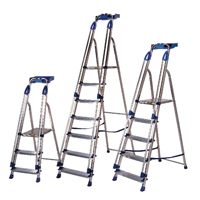 Aluminium Blue Seal 6 Tread Ladder