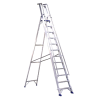 Aluminium 10 Step Ladder/Platform