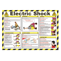 Signslab 420X590 Elec Shock Poster